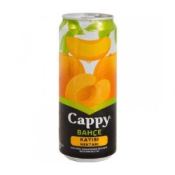 Cappy Kayısı Kutu 330 ml