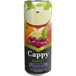 Cappy Karışık Kutu 330 ml