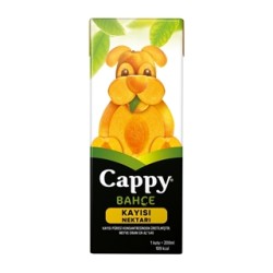 Cappy Mini Kayısı Meyve Suyu 200 ml