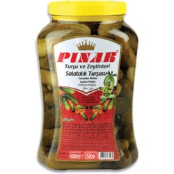 Pınar Salatalık Turşusu Pet 4800 Gr